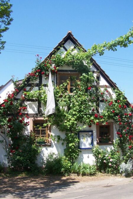 Centre de Protection de la Nature « NABU Hirtenhaus »