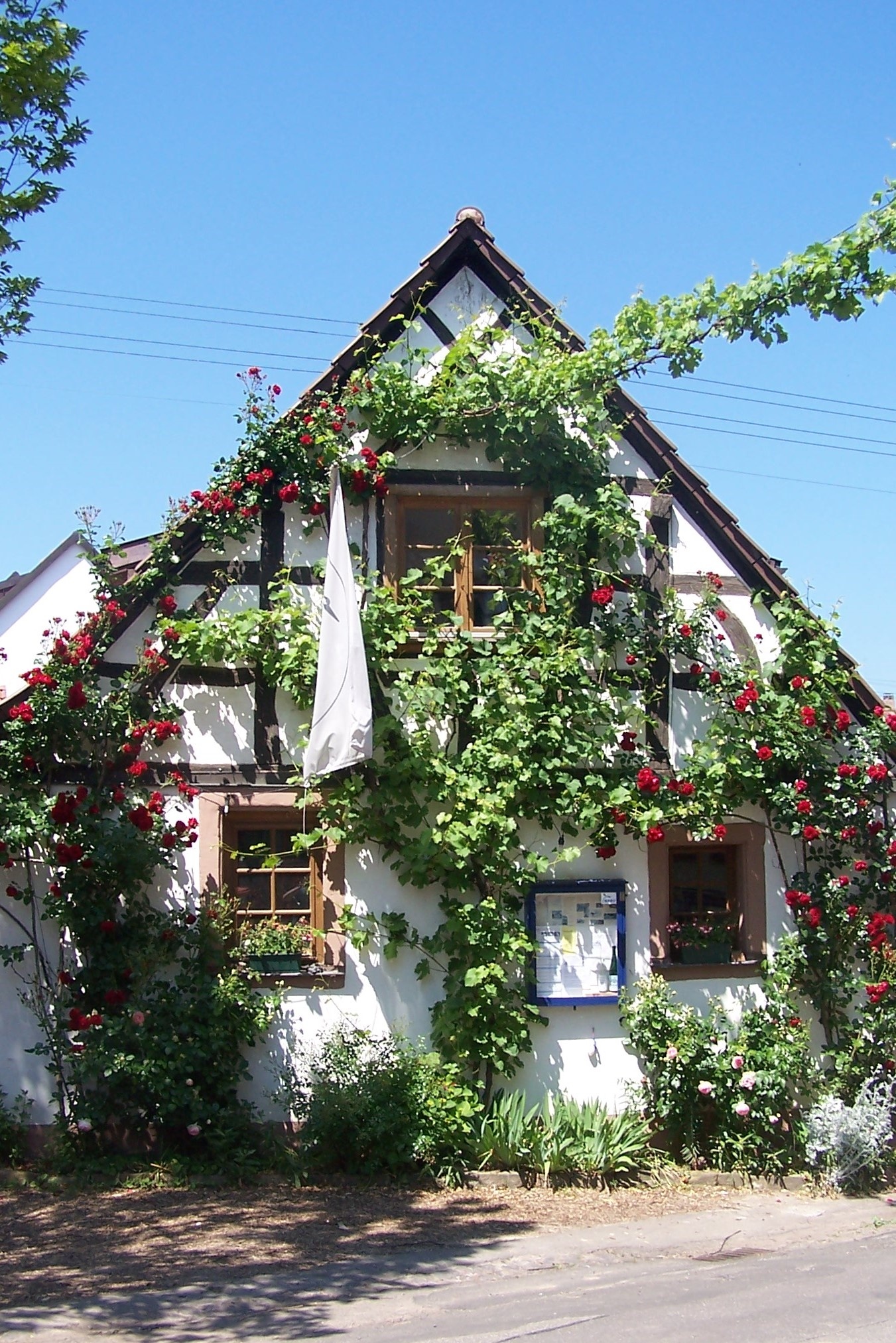 Centre de Protection de la Nature « NABU Hirtenhaus »
